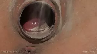 چیری پمپس سے پریفیکٹ شارلٹ سنس کے ساتھ بلی کی ٹرمڈ بینگ