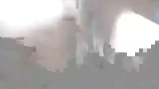 بریٹی سس کی پرجوش کیرولینا مٹھائی کے ساتھ منڈوا فلم