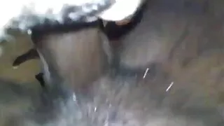 گرلز ٹرائی اینل کی طرف سے ہارنی جیا ڈیرزا اور جین وائلڈ کے ساتھ ٹائٹ پلے بینگ