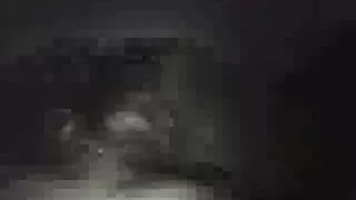 بینگ بروس سے خوبصورت جینا ویلنٹینا کے ساتھ پیٹیٹ سمٹ